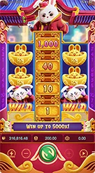 vip555 · Fortune Rabbit